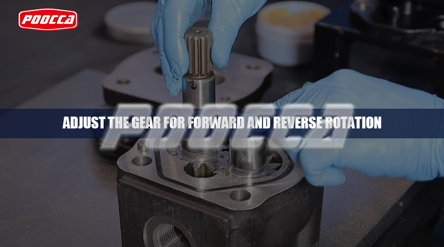 GEAR PUMPS