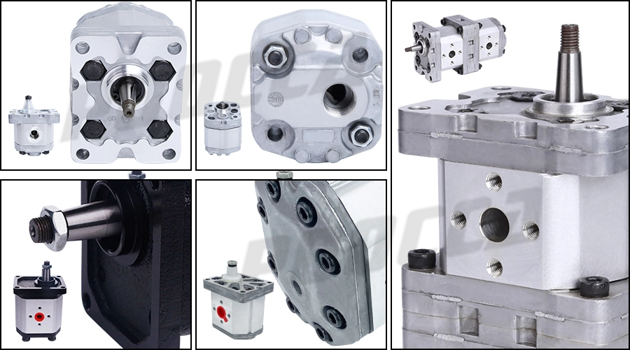 What is the Performance Curve of a Gear Pump?-