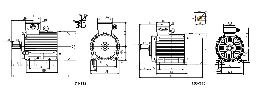 ye2 hydraulic electric motor
