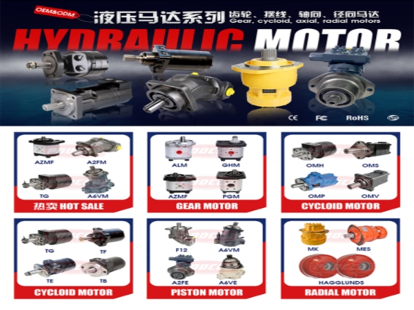 Best Hydraulic Motor Manufacturers in China for Global Buyers-5 Best Hydraulic Motor Manufacturers in China for Global Buyers-5